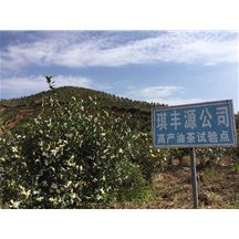 河源麻布崗琪豐基地